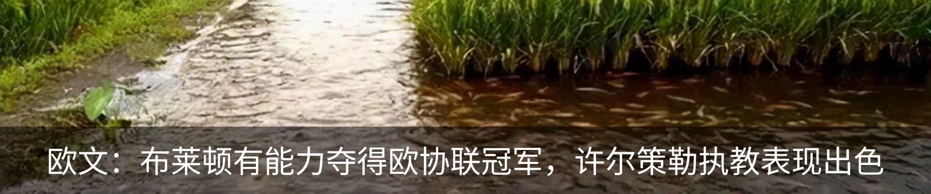 资讯中心